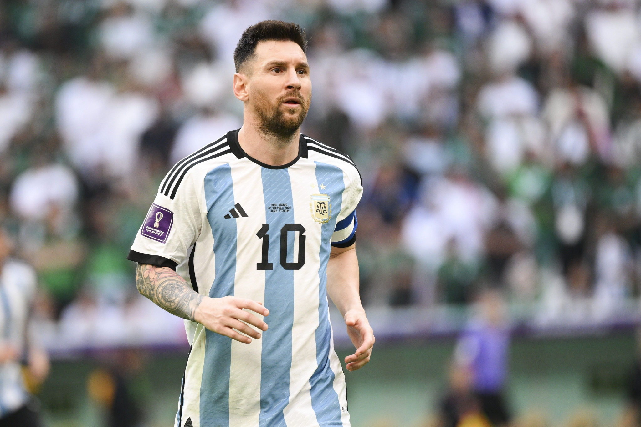 道假视野去 道假视野去