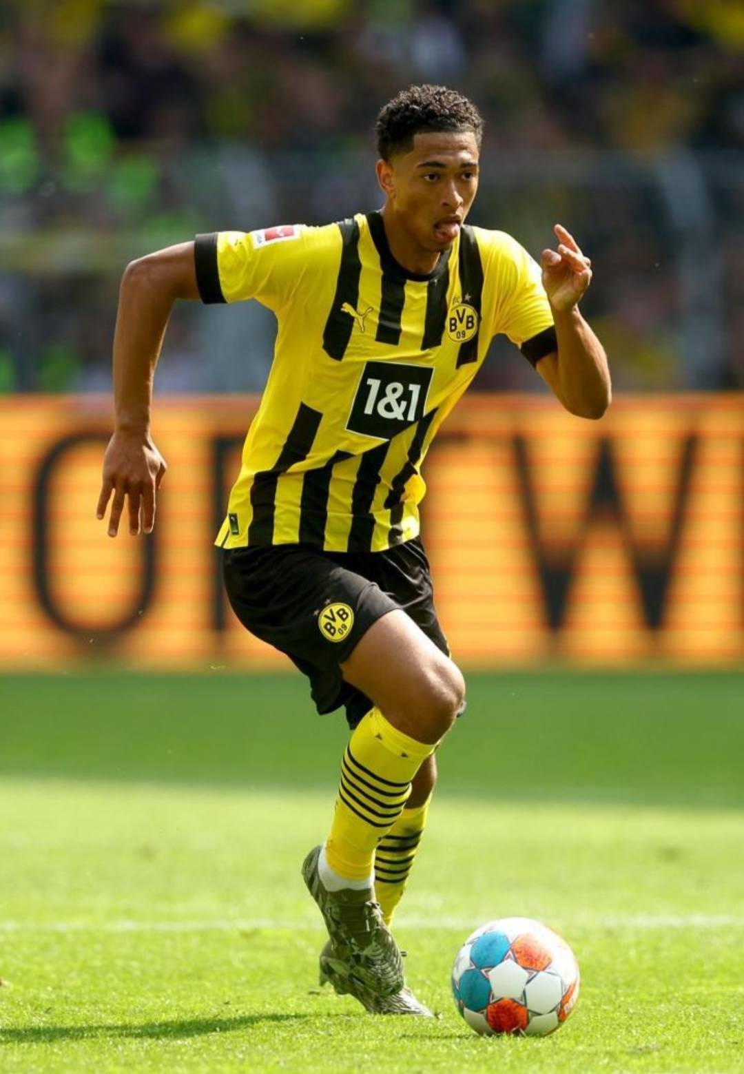 奏的主导 奏的主导